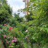 https://cdn-ostrovok-ru-ion.test.edgekey.net/t/100x100/hotel_review/6e/52/6e52d98a94ad9364f228e6255a3ec3b0227f64e7.jpeg