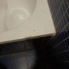 https://cdn-ostrovok-ru-ion.test.edgekey.net/t/100x100/hotel_review/6e/57/6e5710b399c9c91d8324987211d9c823ad8063a6.JPEG