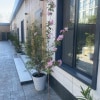 https://cdn-ostrovok-ru-ion.test.edgekey.net/t/100x100/hotel_review/6e/71/6e712f93caffb0a1eb4cafc3d4c45a4226388fa3.JPEG