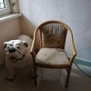 https://cdn-ostrovok-ru-ion.test.edgekey.net/t/100x100/hotel_review/6e/a6/6ea6b3c745aa08412e85cd0666126d1375609e7c.JPEG