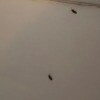 https://cdn-ostrovok-ru-ion.test.edgekey.net/t/100x100/hotel_review/6e/b6/6eb6e2cf5e2fe5a5675b46bd9fea0b95d6dd4691.JPEG