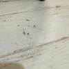 https://cdn-ostrovok-ru-ion.test.edgekey.net/t/100x100/hotel_review/6e/dd/6eddbac0235fc7d1dbca540ff1b696637bb037d7.jpeg