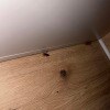 https://cdn-ostrovok-ru-ion.test.edgekey.net/t/100x100/hotel_review/6e/e3/6ee3d6be36f8338c2e42b7cd977a87dcaaed20e2.JPEG