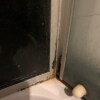 https://cdn-ostrovok-ru-ion.test.edgekey.net/t/100x100/hotel_review/6e/ee/6eee18485276b46f7343b2c95968db28e10fe69f.JPEG