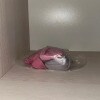 https://cdn-ostrovok-ru-ion.test.edgekey.net/t/100x100/hotel_review/6e/f4/6ef464c23cc842874826e2c1232e12415b08bc9c.JPEG