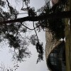 https://cdn-ostrovok-ru-ion.test.edgekey.net/t/100x100/hotel_review/6f/0b/6f0b49fc063cc43f9f230c53e57043740736ef3e.JPEG