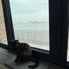 https://cdn-ostrovok-ru-ion.test.edgekey.net/t/100x100/hotel_review/6f/1c/6f1c37026672a01bb0f29bfce076b5d6afcddf26.JPEG