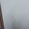 https://cdn-ostrovok-ru-ion.test.edgekey.net/t/100x100/hotel_review/6f/3b/6f3b4dda91327fc6d214b3e903aefaa7724bfeb2.JPEG