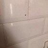 https://cdn-ostrovok-ru-ion.test.edgekey.net/t/100x100/hotel_review/6f/72/6f7250aea55bc9295f7277615887166642d7eb63.jpeg