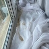https://cdn-ostrovok-ru-ion.test.edgekey.net/t/100x100/hotel_review/6f/74/6f7411025bb7d7ed6914ae549df73583cb32c209.JPEG