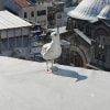 https://cdn-ostrovok-ru-ion.test.edgekey.net/t/100x100/hotel_review/6f/8d/6f8d138082f939caf6dc7204ee976e01d039c088.JPEG
