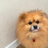https://cdn-ostrovok-ru-ion.test.edgekey.net/t/100x100/hotel_review/6f/cb/6fcbf4d00d1f45ed62e828fee5c970f04a3bcc66.JPEG