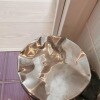 https://cdn-ostrovok-ru-ion.test.edgekey.net/t/100x100/hotel_review/6f/d5/6fd5c28cd124d53715327c5657d29422342cd295.JPEG