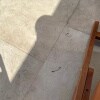 https://cdn-ostrovok-ru-ion.test.edgekey.net/t/100x100/hotel_review/6f/da/6fdadb026b93248de047021a85e5565a01fd2051.JPEG