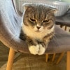https://cdn-ostrovok-ru-ion.test.edgekey.net/t/100x100/hotel_review/70/f4/70f46b2e188a832c05af5561d56ef42293450eab.JPEG