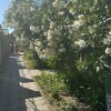https://cdn-ostrovok-ru-ion.test.edgekey.net/t/100x100/hotel_review/71/3b/713b4d872fab436da77e42936640cdd2754e2b43.JPEG