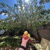 https://cdn-ostrovok-ru-ion.test.edgekey.net/t/100x100/hotel_review/71/60/7160d765750fd11679ff8d0188d1ddba3afb64c1.JPEG