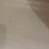 https://cdn-ostrovok-ru-ion.test.edgekey.net/t/100x100/hotel_review/71/72/7172eaacafba4c18be263da3042fcefc84a37b41.JPEG