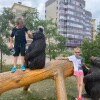 https://cdn-ostrovok-ru-ion.test.edgekey.net/t/100x100/hotel_review/71/ab/71ab3069a2734c2617ee8e26b5d7f6d7c5be3607.jpeg