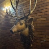 https://cdn-ostrovok-ru-ion.test.edgekey.net/t/100x100/hotel_review/71/d8/71d801fb20bad603c17aa9704d406edeae1503d8.JPEG