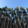 https://cdn-ostrovok-ru-ion.test.edgekey.net/t/100x100/hotel_review/71/e7/71e7b97bdf06fdc25933ff5d4092cf28d0f58383.JPEG