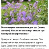 https://cdn-ostrovok-ru-ion.test.edgekey.net/t/100x100/hotel_review/71/fc/71fc15ac62730d71fd43f8d666e0290948a0e251.png