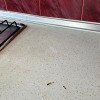 https://cdn-ostrovok-ru-ion.test.edgekey.net/t/100x100/hotel_review/72/12/721225fed4f02226733314865300ef4d6f624d59.JPEG