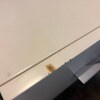 https://cdn-ostrovok-ru-ion.test.edgekey.net/t/100x100/hotel_review/72/30/7230e0e57c73c85be64d4437a56e1428f4148461.JPEG