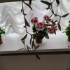 https://cdn-ostrovok-ru-ion.test.edgekey.net/t/100x100/hotel_review/72/66/726619a914d3e058c5460f62bf763e2f5067c9e2.jpeg