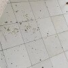 https://cdn-ostrovok-ru-ion.test.edgekey.net/t/100x100/hotel_review/72/74/7274956c601a14d08bd3b0a63f079ae2de99f96e.jpeg