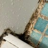 https://cdn-ostrovok-ru-ion.test.edgekey.net/t/100x100/hotel_review/73/1b/731b8bb2855a144b68916cfcea6d74a745e48dc4.JPEG
