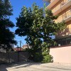 https://cdn-ostrovok-ru-ion.test.edgekey.net/t/100x100/hotel_review/73/65/73654d771d212dca2c1d312813e0cc682a6d0233.JPEG