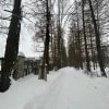 https://cdn-ostrovok-ru-ion.test.edgekey.net/t/100x100/hotel_review/73/6c/736cb2dca802195165fe52483e4fddedad35b4d3.jpeg