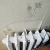 https://cdn-ostrovok-ru-ion.test.edgekey.net/t/100x100/hotel_review/73/6c/736cb6d6c3d044a74c38709fe1ea5a596367e6bb.JPEG