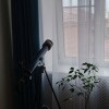 https://cdn-ostrovok-ru-ion.test.edgekey.net/t/100x100/hotel_review/73/7f/737f8e9a6a798e28dfa9e42d26761590006b7a9a.JPEG