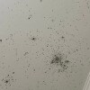 https://cdn-ostrovok-ru-ion.test.edgekey.net/t/100x100/hotel_review/73/8a/738a5a82951a2a72b1874a12f21a17e0dfafc317.JPEG