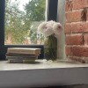 https://cdn-ostrovok-ru-ion.test.edgekey.net/t/100x100/hotel_review/73/93/7393aa5e452212e1a9b265be6f1e1a75467af749.JPEG