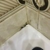 https://cdn-ostrovok-ru-ion.test.edgekey.net/t/100x100/hotel_review/73/c9/73c96d57909de916c2cc93dca794a02663ed07ca.JPEG