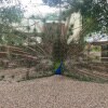 https://cdn-ostrovok-ru-ion.test.edgekey.net/t/100x100/hotel_review/74/1c/741cc69e0947071f0955aedee6941e7ae6bfa2f2.JPEG