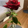 https://cdn-ostrovok-ru-ion.test.edgekey.net/t/100x100/hotel_review/74/1f/741fd66f94cae2d4e2417b25c26a1904a5a4eec6.JPEG