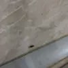 https://cdn-ostrovok-ru-ion.test.edgekey.net/t/100x100/hotel_review/74/62/7462145343d4250b54dd58f2906b4521b16f705a.JPEG