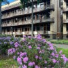 https://cdn-ostrovok-ru-ion.test.edgekey.net/t/100x100/hotel_review/74/66/746658eda82d7a280a6717403709ae5a358e68f3.JPEG