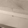 https://cdn-ostrovok-ru-ion.test.edgekey.net/t/100x100/hotel_review/74/df/74dff0ea66205c347f6aade6fbb1617d80ad2bc9.JPEG