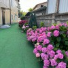https://cdn-ostrovok-ru-ion.test.edgekey.net/t/100x100/hotel_review/75/21/7521983927bed33594e515dbc99d4b0f2adb2c75.JPEG