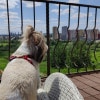 https://cdn-ostrovok-ru-ion.test.edgekey.net/t/100x100/hotel_review/75/43/7543515d91d8e2895273b206f6c0fad7f7d452a5.jpeg