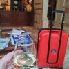 https://cdn-ostrovok-ru-ion.test.edgekey.net/t/100x100/hotel_review/75/67/7567f2795eaaef4778cc2ad547f870ab1612374b.JPEG