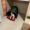 https://cdn-ostrovok-ru-ion.test.edgekey.net/t/100x100/hotel_review/75/7b/757b42e550712772c74fed0829a40c3ada654802.JPEG