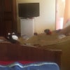 https://cdn-ostrovok-ru-ion.test.edgekey.net/t/100x100/hotel_review/75/bd/75bd02bda24cac86093f0455c41853f885ab83d3.jpeg