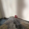 https://cdn-ostrovok-ru-ion.test.edgekey.net/t/100x100/hotel_review/76/0b/760b664d09af83c2e84f7e7243b1c84356c01ed5.PNG