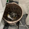 https://cdn-ostrovok-ru-ion.test.edgekey.net/t/100x100/hotel_review/76/0f/760feefc71729e4d93ecd0741a0784d41622ed37.JPEG